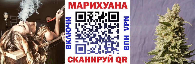 Шишки марихуана сатива Зерноград